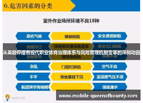 从英超停摆看现代职业体育治理体系与风险管理机制变革的深刻动因