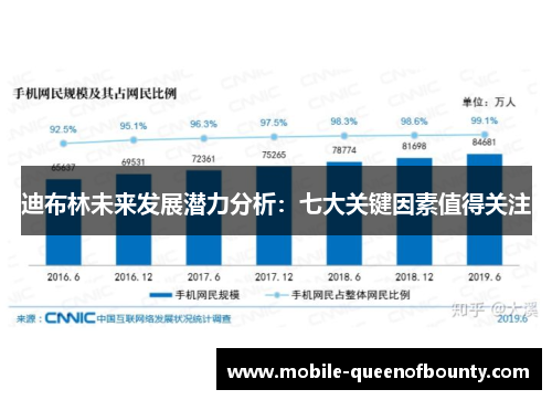 迪布林未来发展潜力分析：七大关键因素值得关注