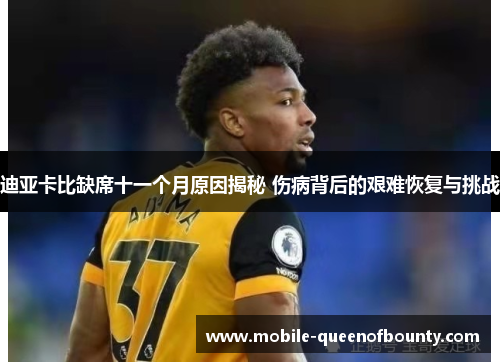 迪亚卡比缺席十一个月原因揭秘 伤病背后的艰难恢复与挑战