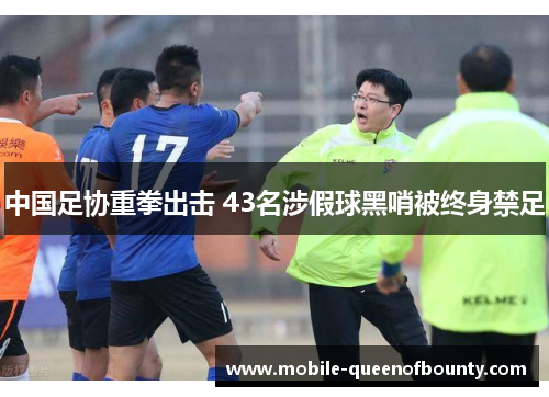 中国足协重拳出击 43名涉假球黑哨被终身禁足