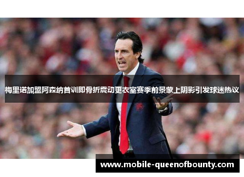 梅里诺加盟阿森纳首训即骨折震动更衣室赛季前景蒙上阴影引发球迷热议